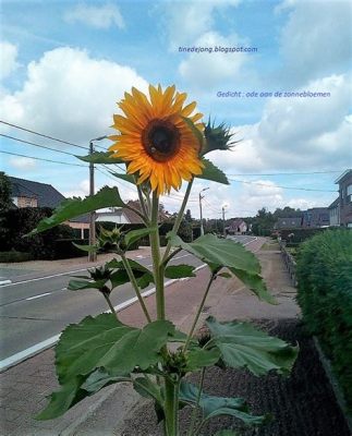  De Zonnebloemen – Een Expressieve Ode aan Kleur en Licht!